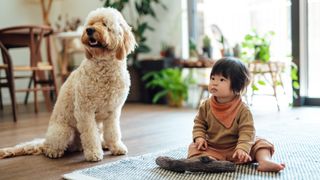 Baby and dog sitting on the floor