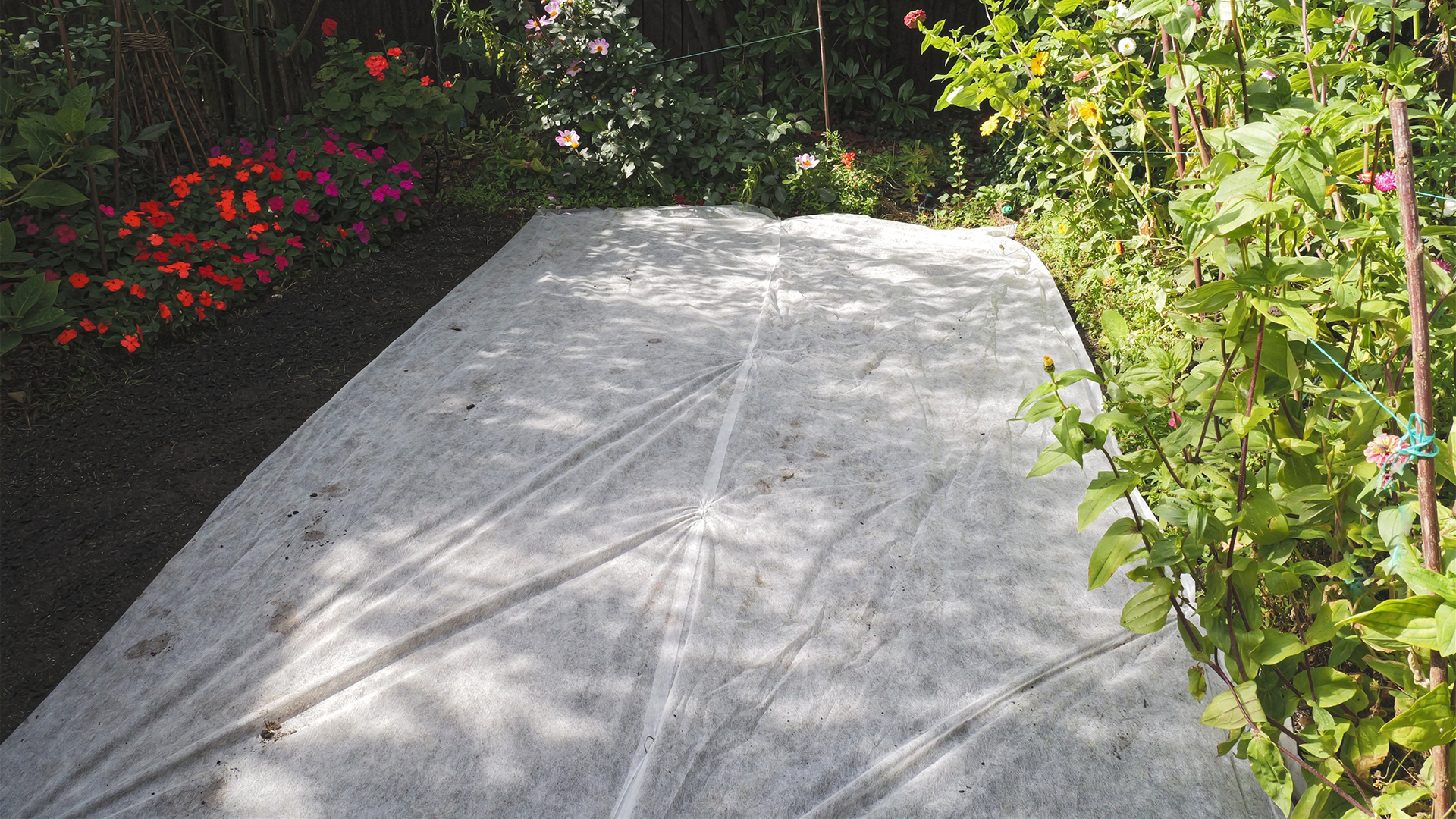 Lawn fleece covering newly seeded lawn