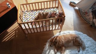 An image of the IMILAB C30 Dual sitting on a dresser monitoring a baby and a dog