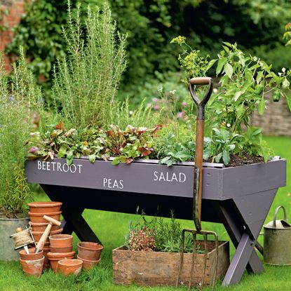 Black garden trough turned into vegetable planter in garden