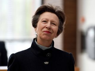 Princess Anne could replace Prince Harry as the head of the Royal Marine Corps