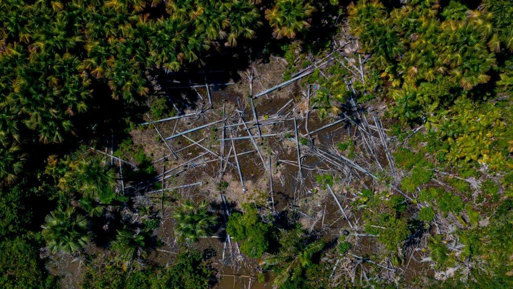 A deforested area in Brazil.