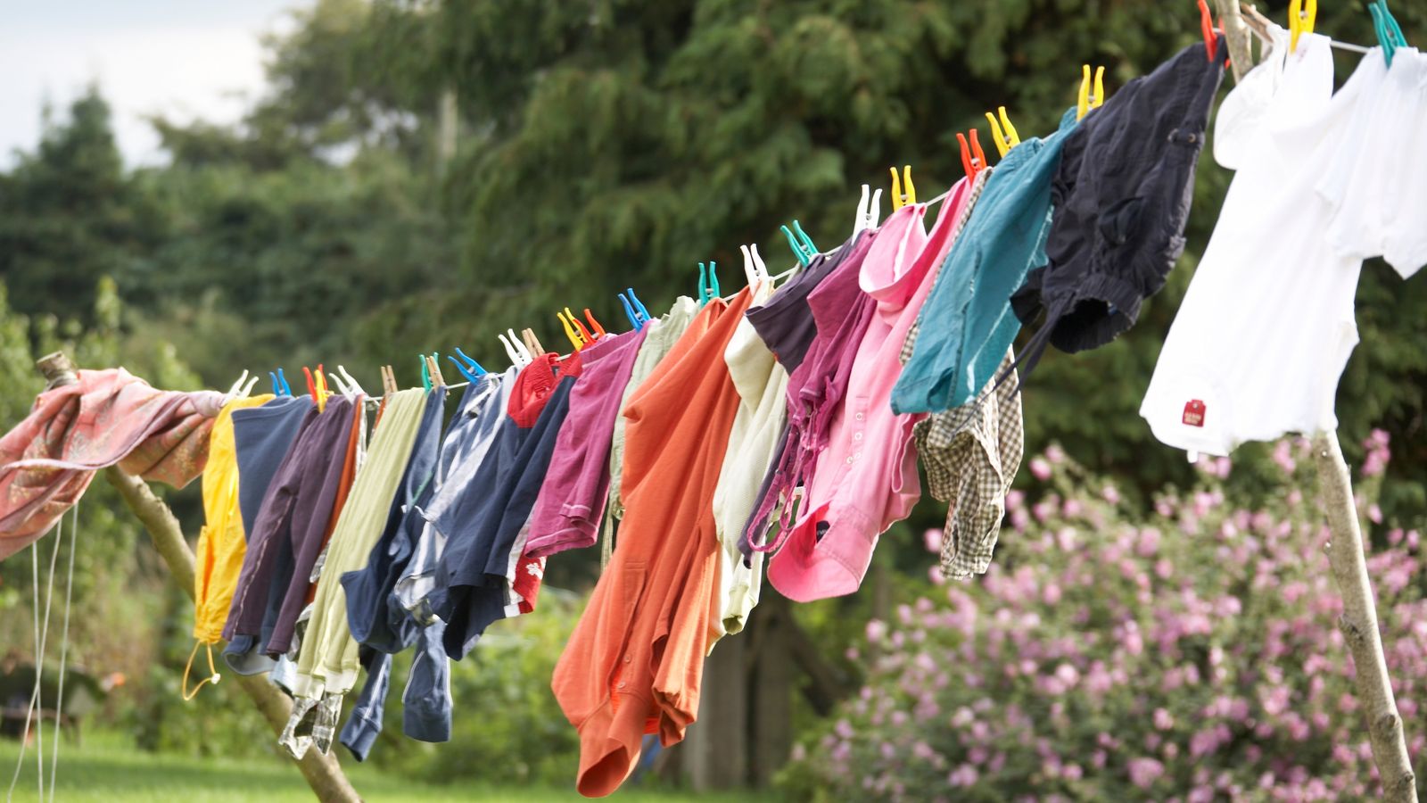 How to remove mildew from clothes real homes