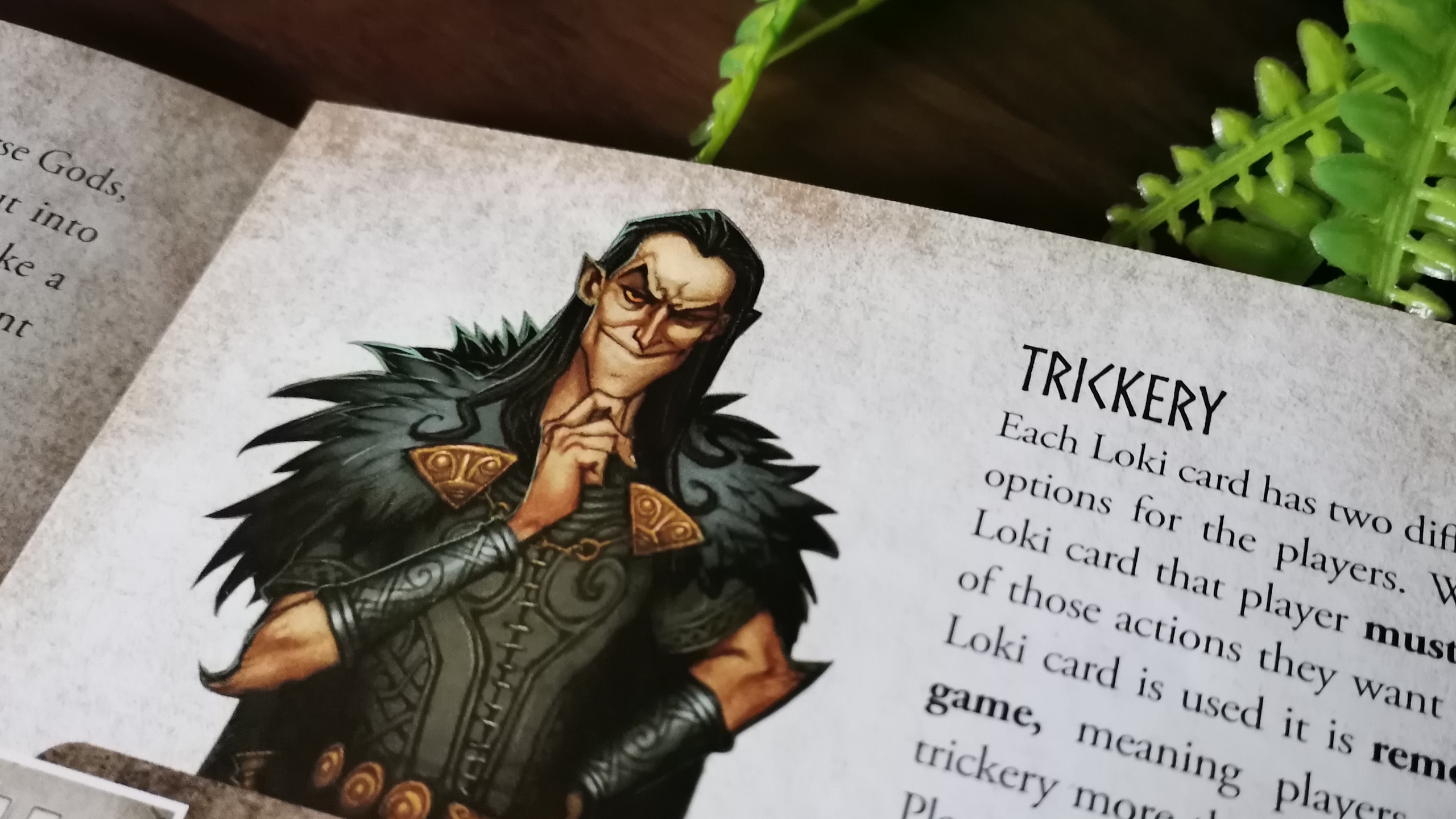 Odin's Ravens rulebook laid out on a wooden surface, near a fake plant