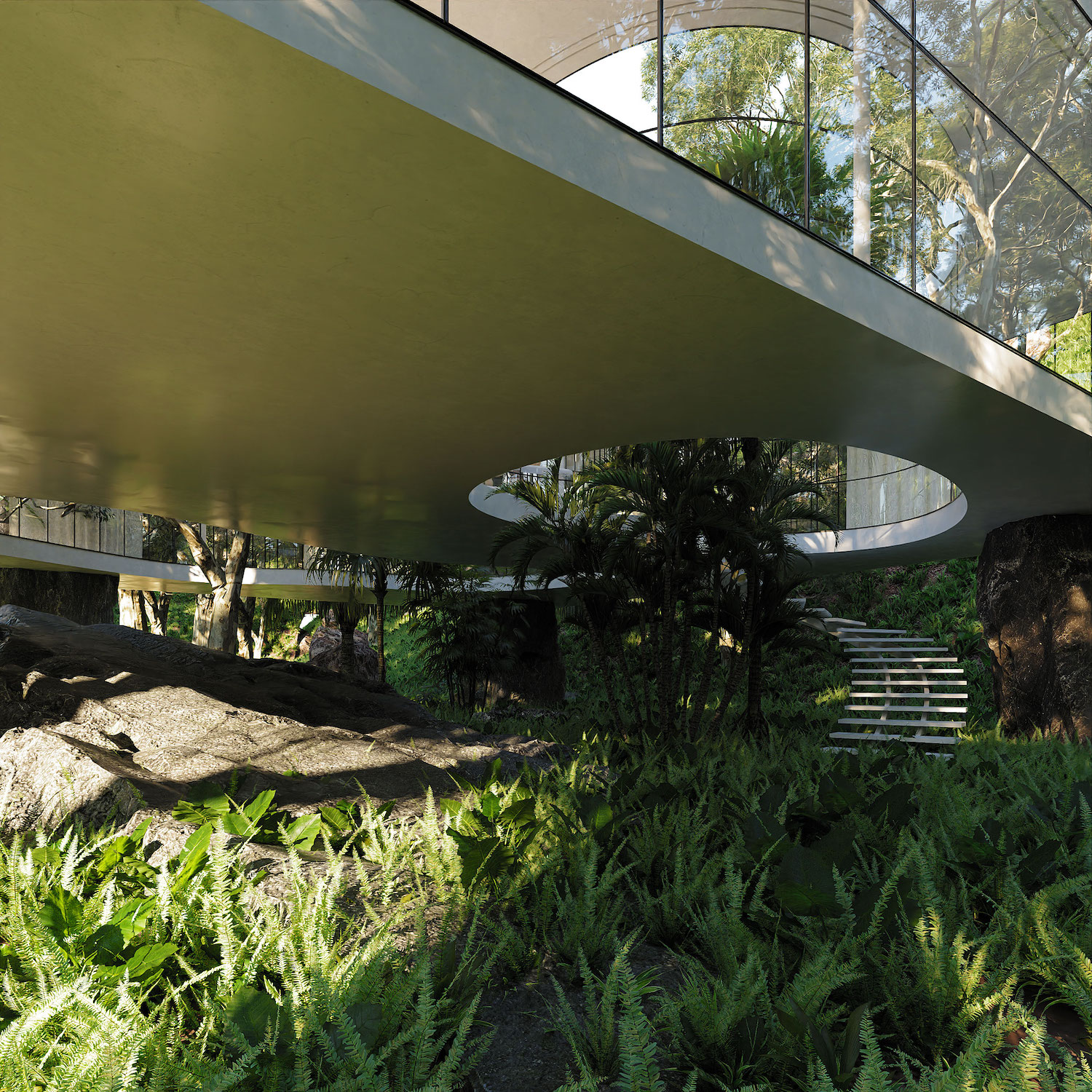 modern house