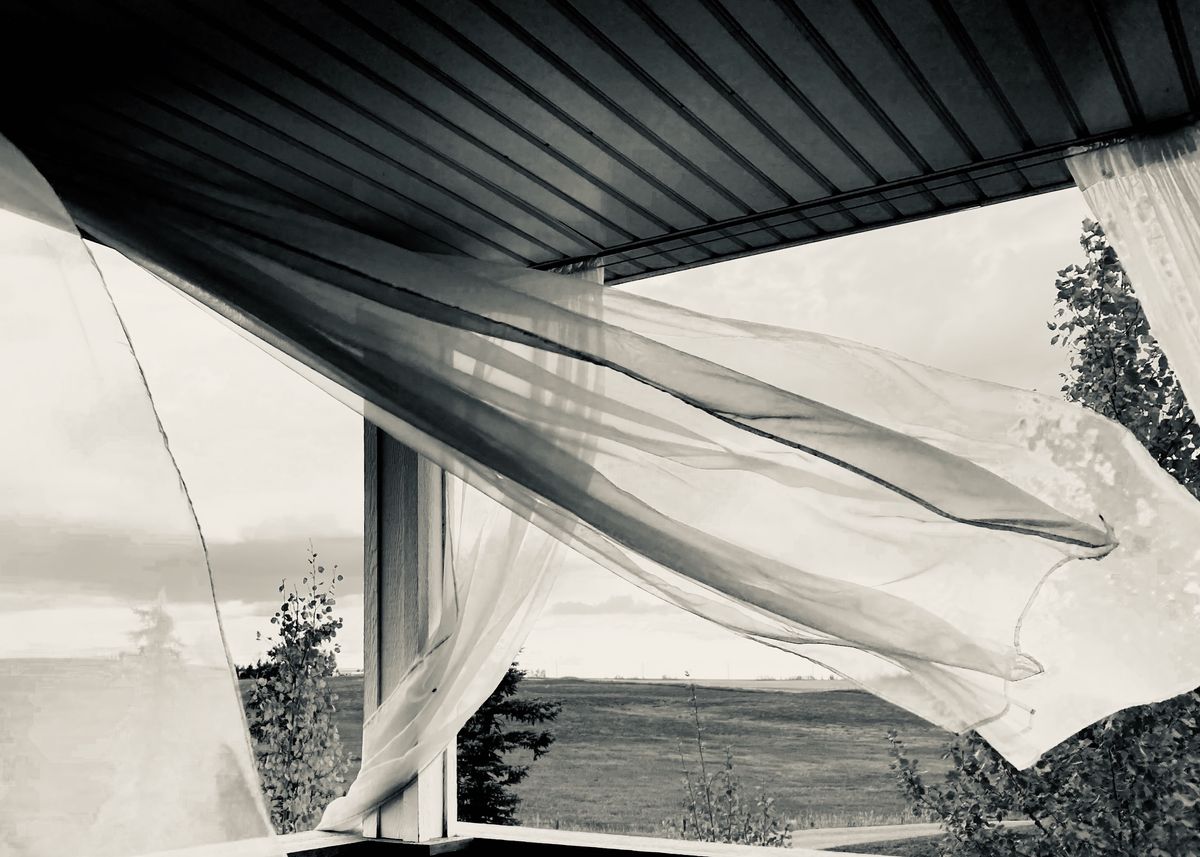 GuruShots - Monochrome Moments Jan 26