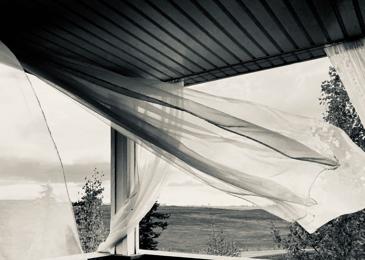 GuruShots - Monochrome Moments Jan 26
