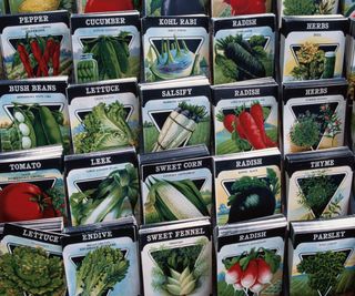 A wall of vegetable seed packets in a store