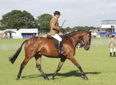Robert Walker, picture by Equinational