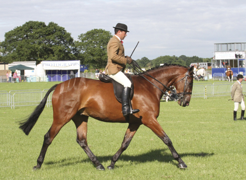Robert Walker, picture by Equinational