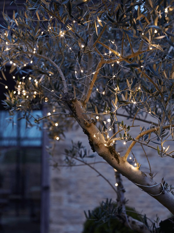 solar garden lighting lights up a tree