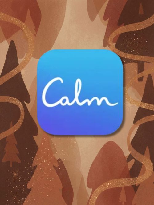 Calm Sleep App
