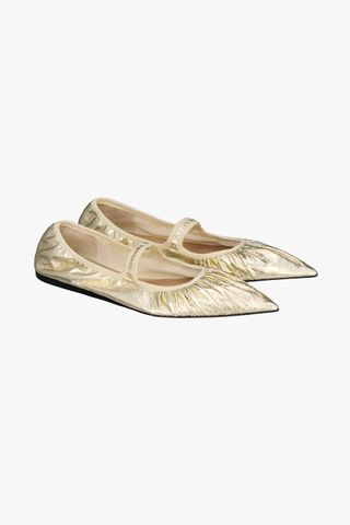 Metallic Leather Ballet Flats - Limited Edition