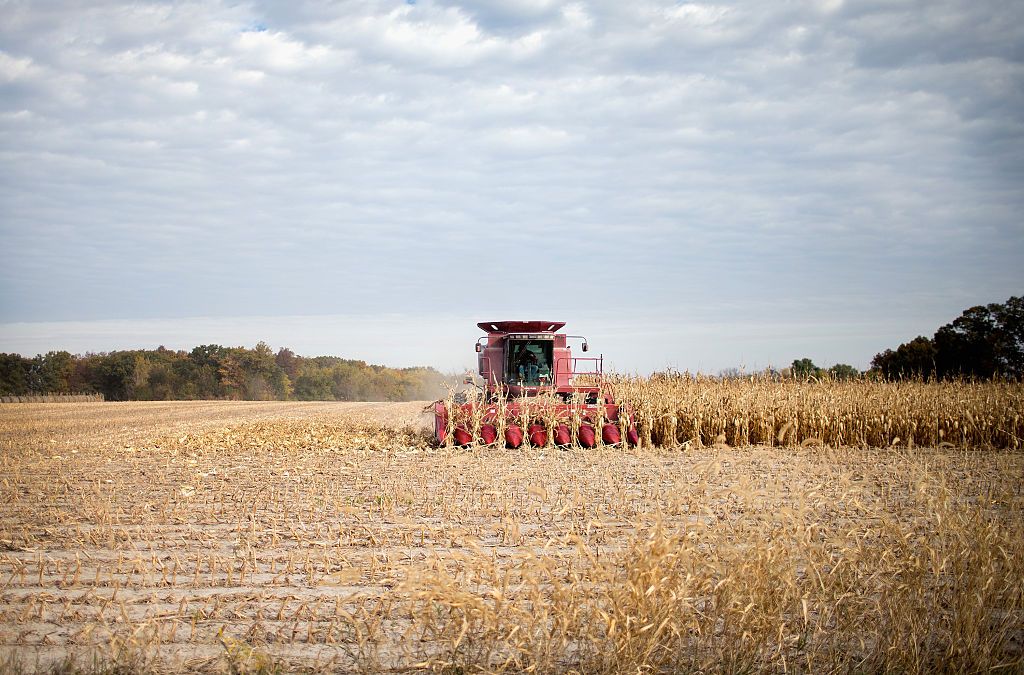 Farming.