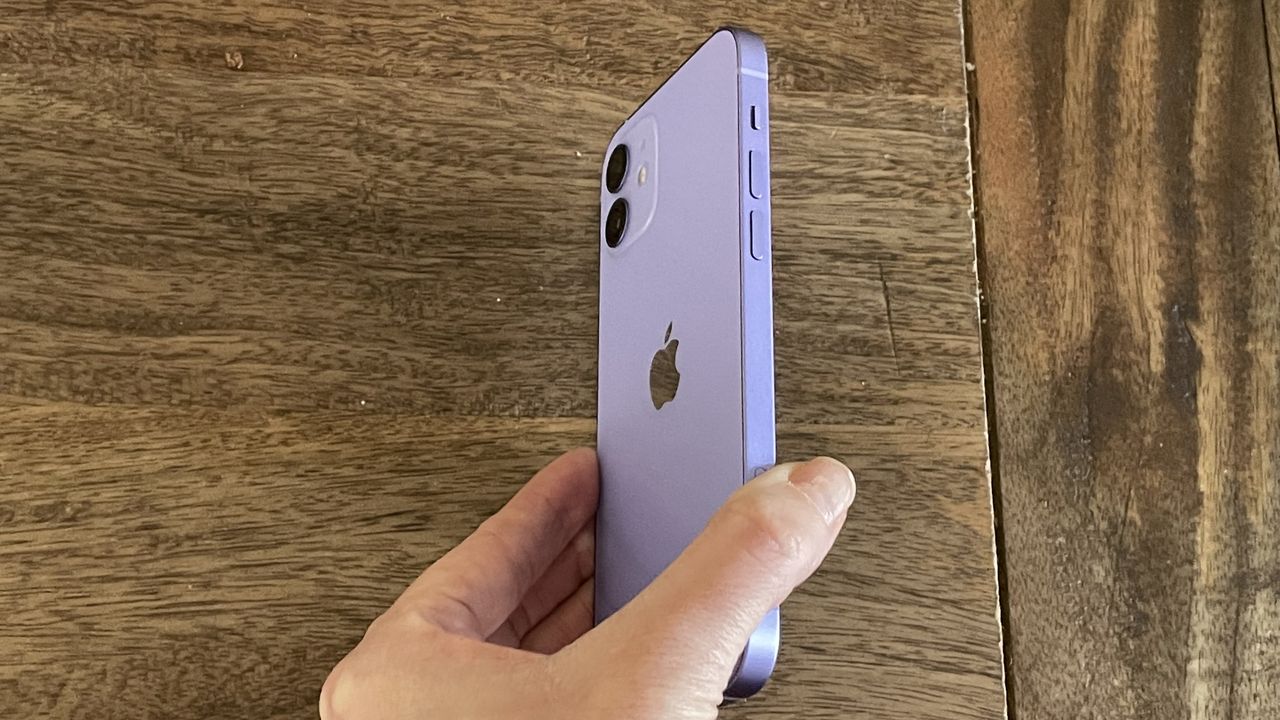 Apple iPhone 12 Purple