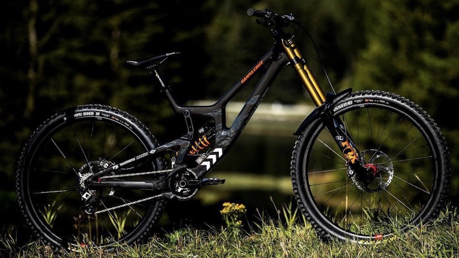 Pro Bike: Greg Minnaar's Santa Cruz V10 | BikePerfect