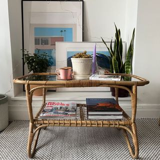Styled coffee table in white lounge space with houseplants surround