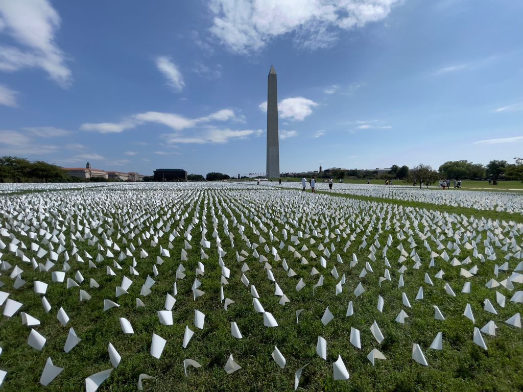 COVID-19 memorial on National Mall.