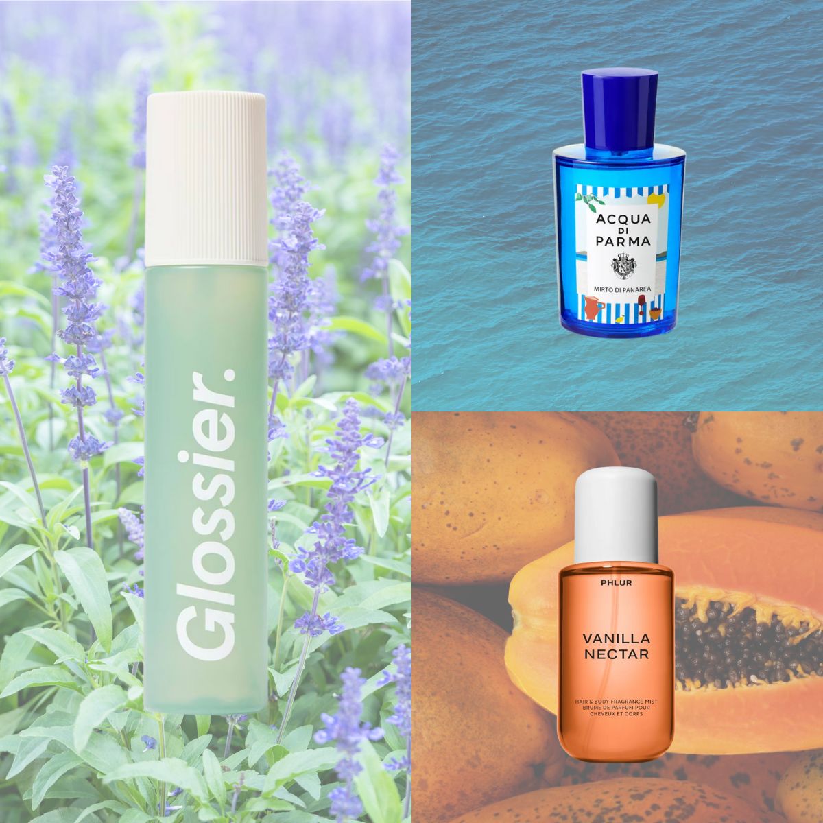 A collage of new in perfumes