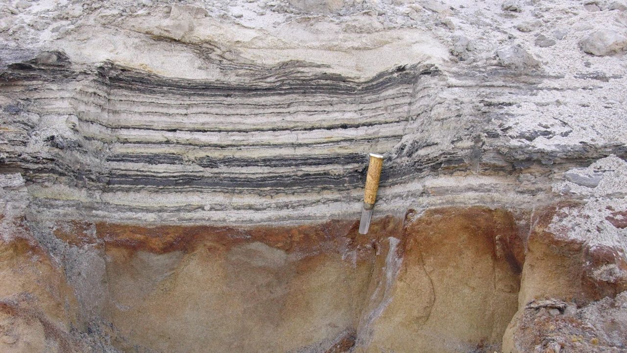 Tiny DNA fragments became trapped as layers of sediment built up over time.