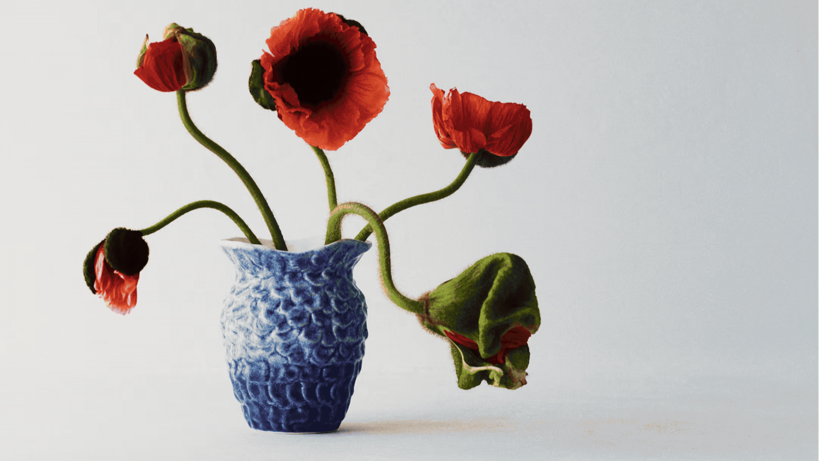 Rotating GIF of various new homewares, including a blue vase with red flowers, a plaid blanket on a bed, flower-shaped rugs on a row of chairs, and a green towel hanging on a white outdoor wall.
