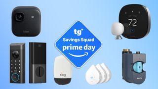 TP-Link security camera, Ting, and Yale smart lock