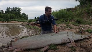 El educador y amante de la naturaleza Payton Moore documentó su captura del enorme pez, que medía más de 8 pies (2,4 metros) de largo.