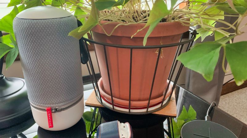 Libratone zipp in the plants