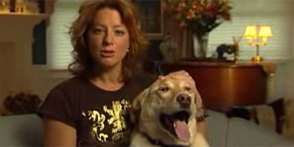 Even Sarah Mclachlan Can T Make It Through The Sarah Mclachlan Dog Commercial Cinemablend