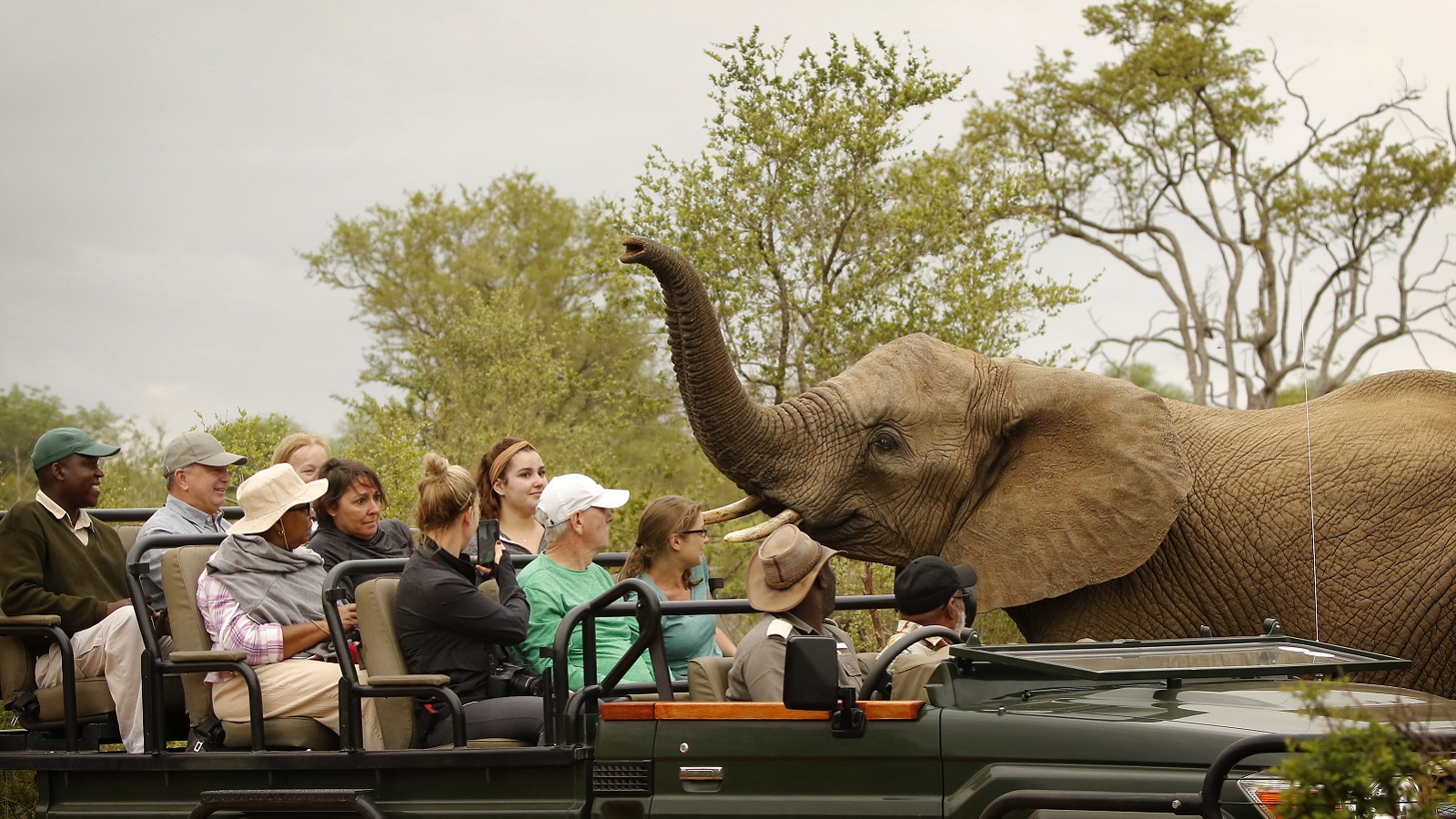 An elephant approaches tourists at a safari in Kenya, Africa.