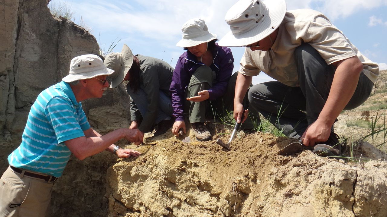 Chinese archaeologists find 2-million-year-old &amp;#039;playground&amp;#039; of ancient toys