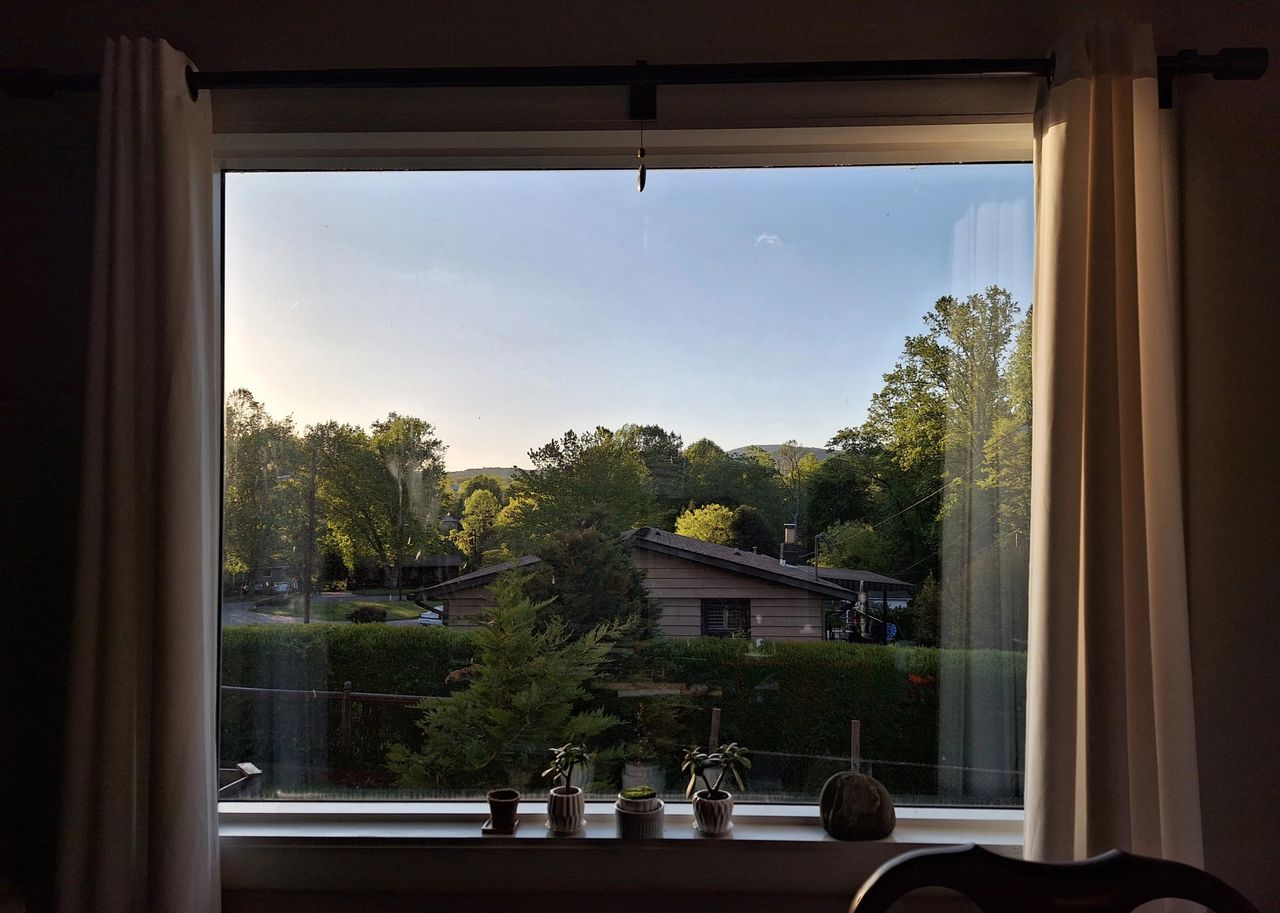 Galaxy A54 camera sample