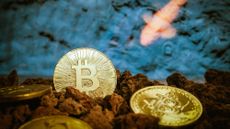 Two gold bitcoins are placed next to small brown rocks.
