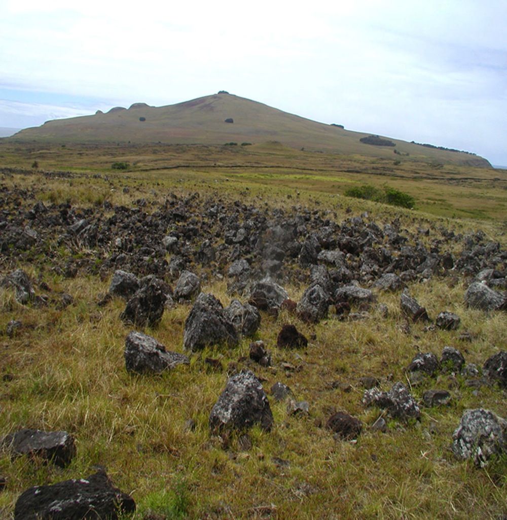 Rapa Nui Rock Garden