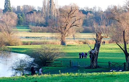 Walking in Grantchester Meadows, Cambridge