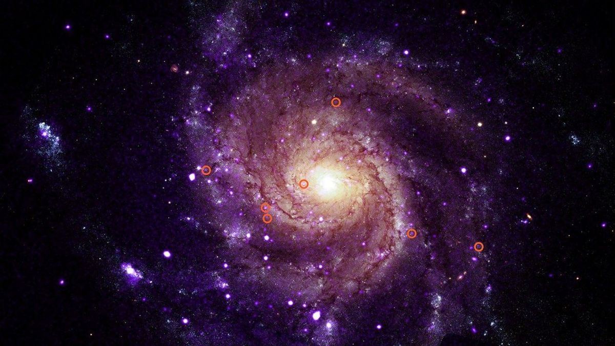 Scientists discover mysterious new X-ray objects 'unlike any they have seen before'