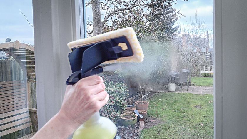 Karcher WV 6 Plus Cordless Window Vac