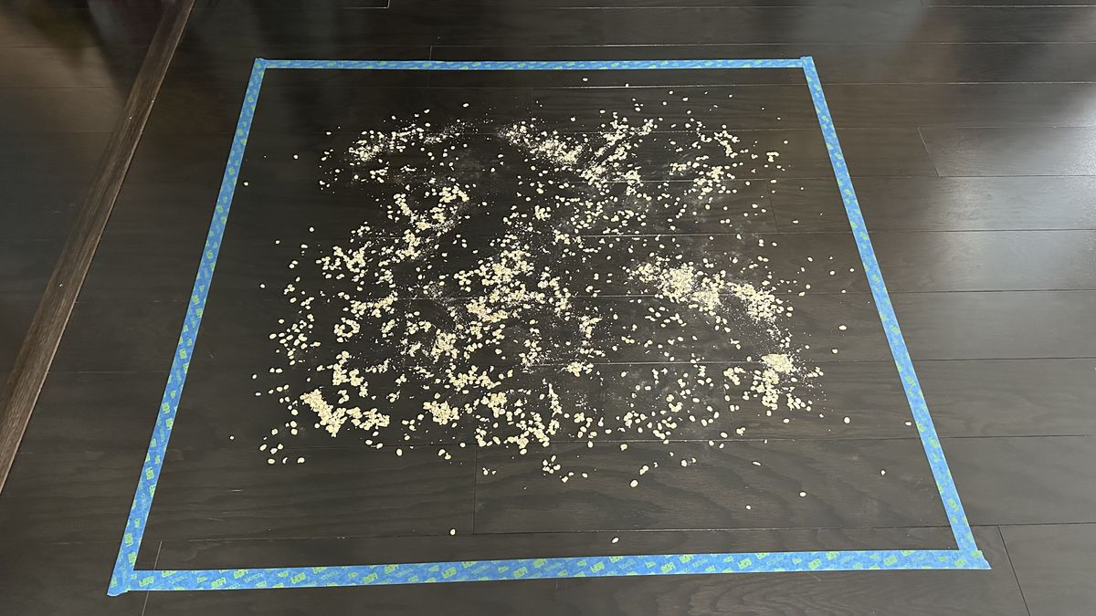Oats on hard floor before testing began