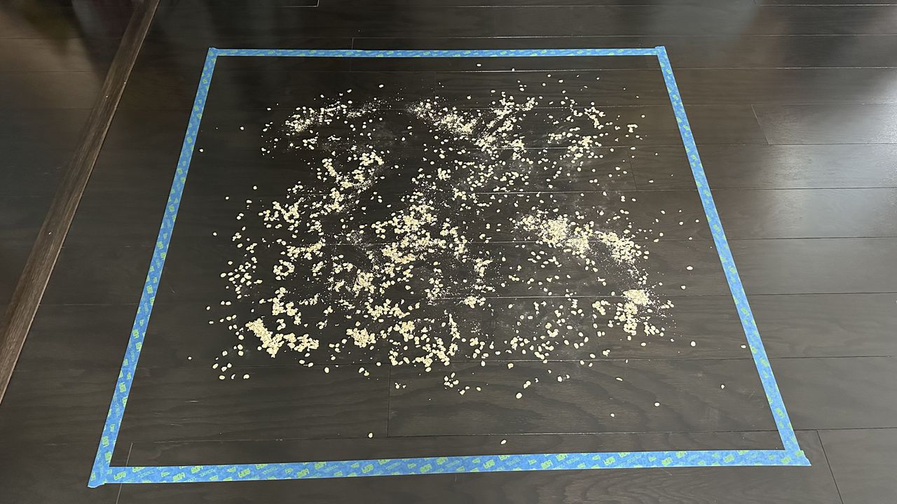 Oats on hard floor before testing began