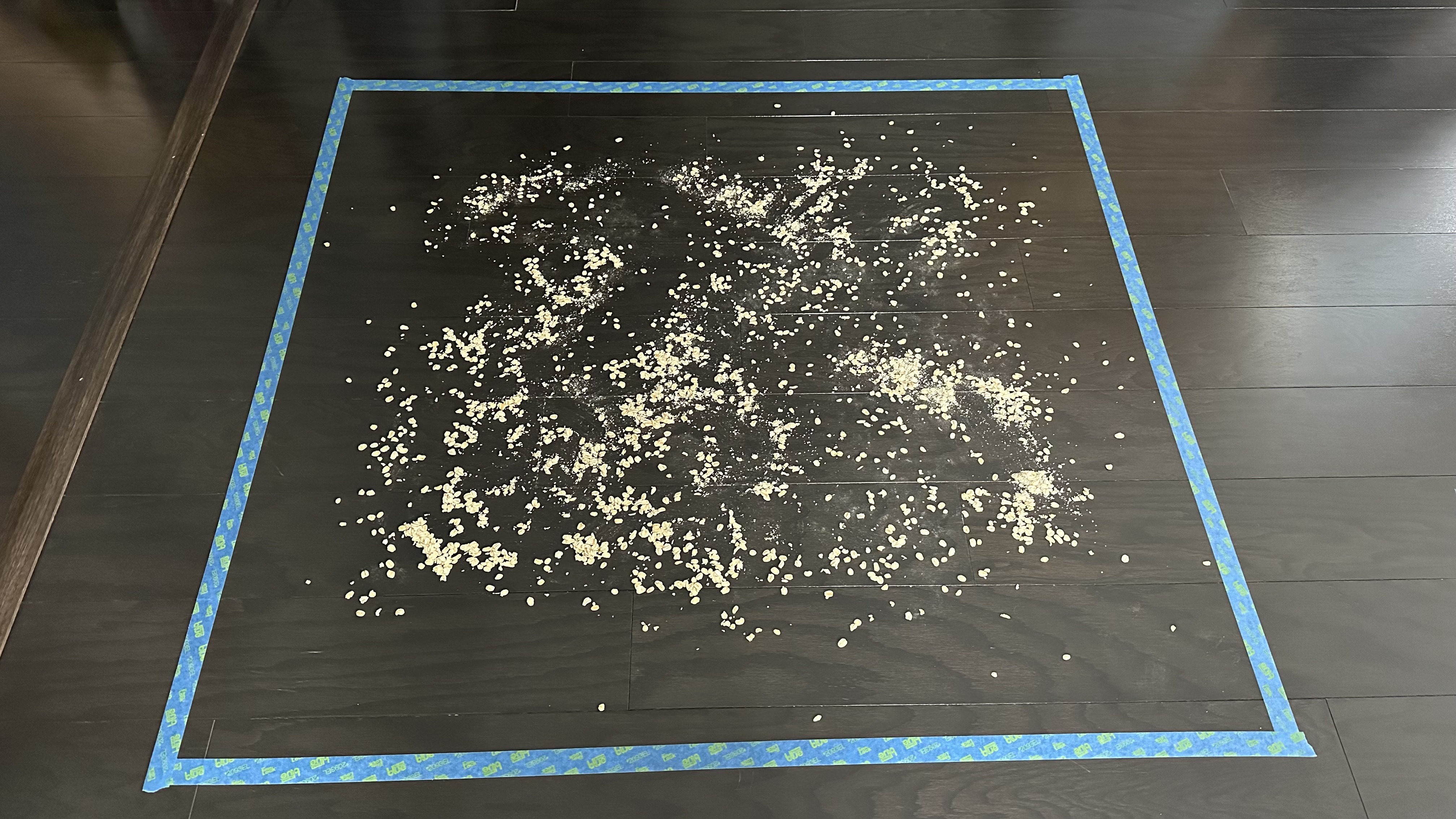 Oats on hard floor before testing began