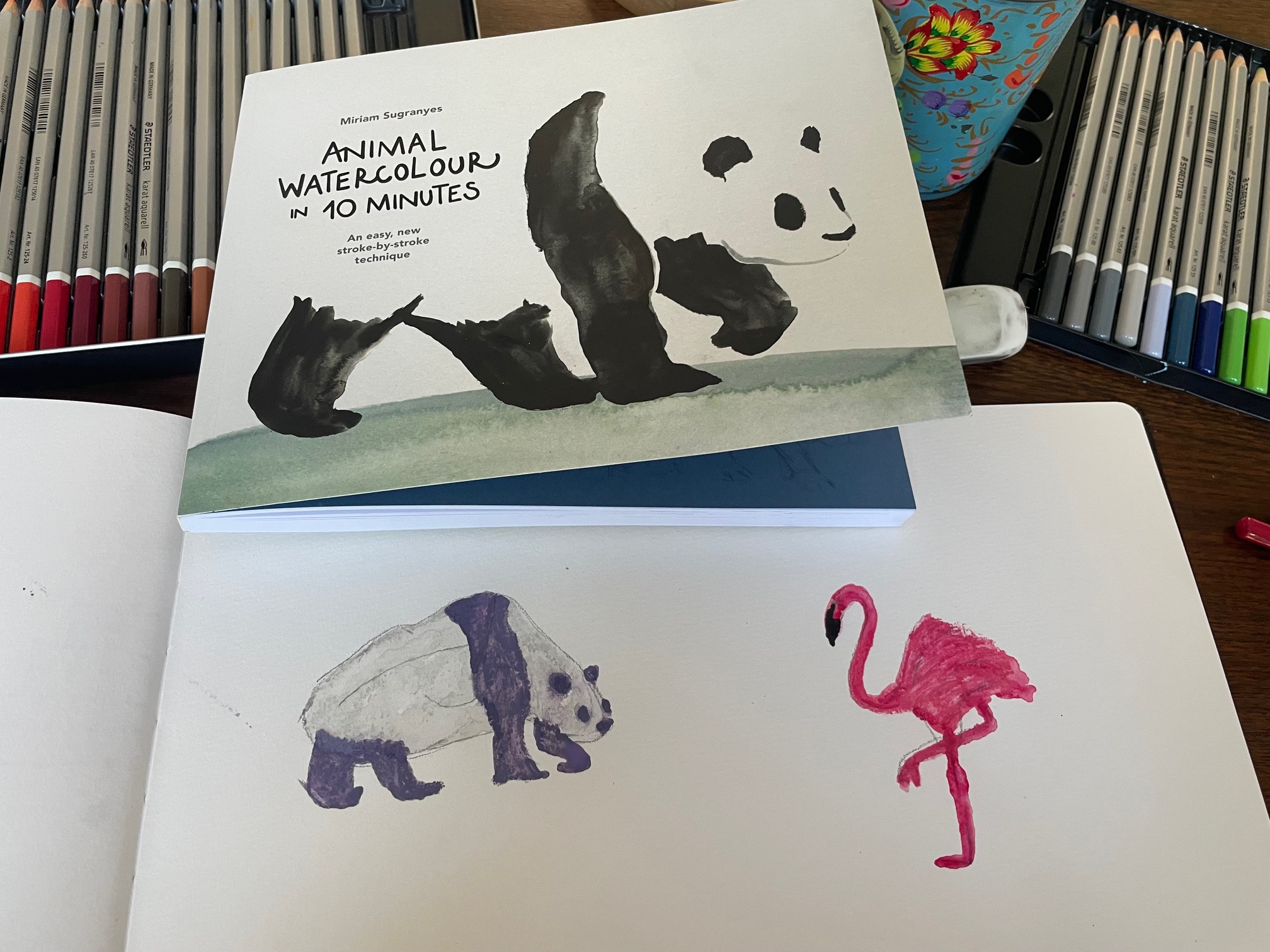 drawings of a panda and flamingo in watercolour using book