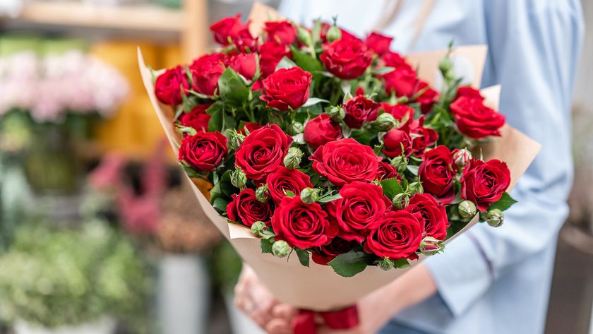 Bouquet of red roses wrapped in brown paper