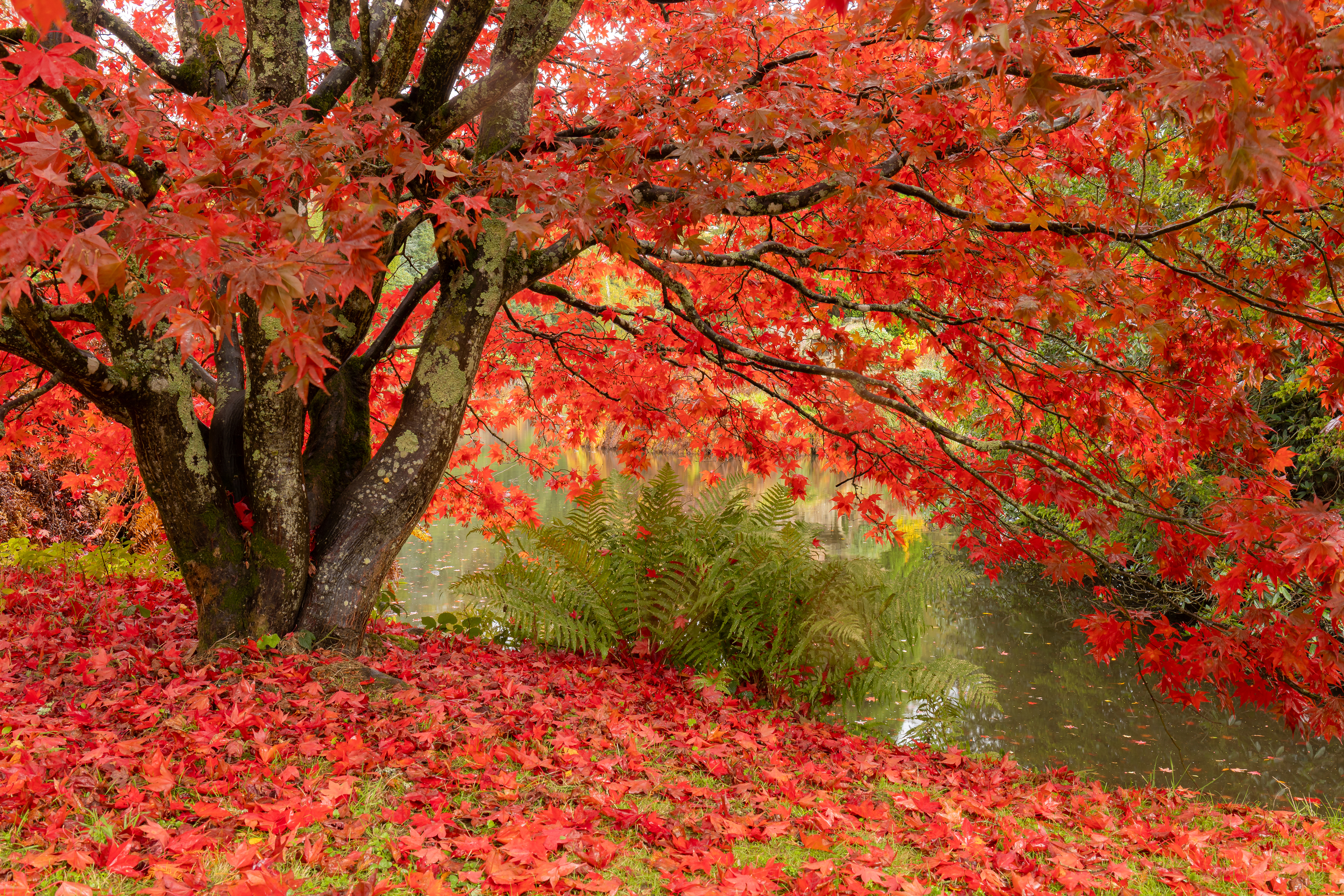 GuruShots - Nature&rsquo;s Masterpiece 2026