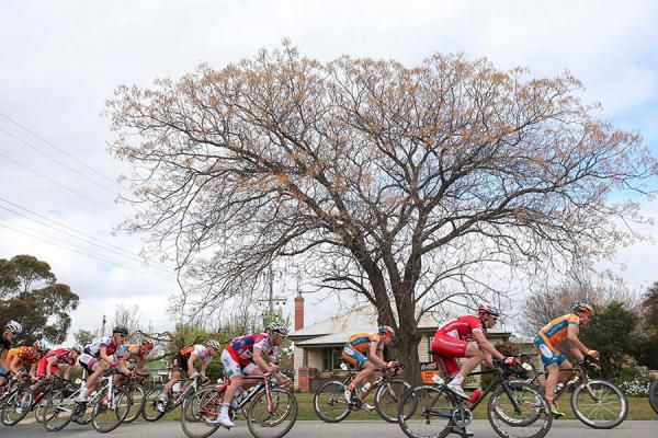 The bunch during the Kerang criterium