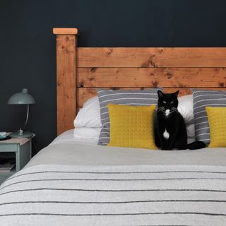 bedroom with black cat on bed and dark wall