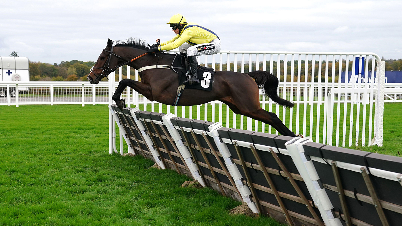Scarface ridden by Tom Cannon on their way to winning the raceshare.com Racehorse Shares from &amp;pound;39 Novices' Hurdle on November Racing Weekend on the Saturday at Ascot Racecourse in 2022