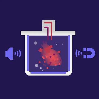 An illustrated beaker sits in the center. It contains a submerged heart, with to right-angle bent lines that appear like drinking coming out the top. To the left of the beaker is the icon of a speaker with soundwaves emanating. To the right, a magnet icon with similar emanating signals.