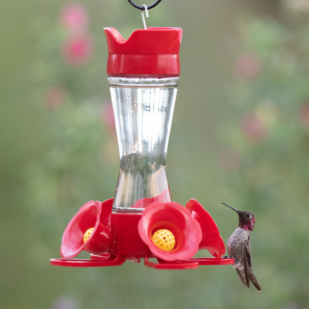 Bay Isle Home&amp;trade; Elson Pinch-Waist Hummingbird Feeder &amp;amp; Reviews | Wayfair