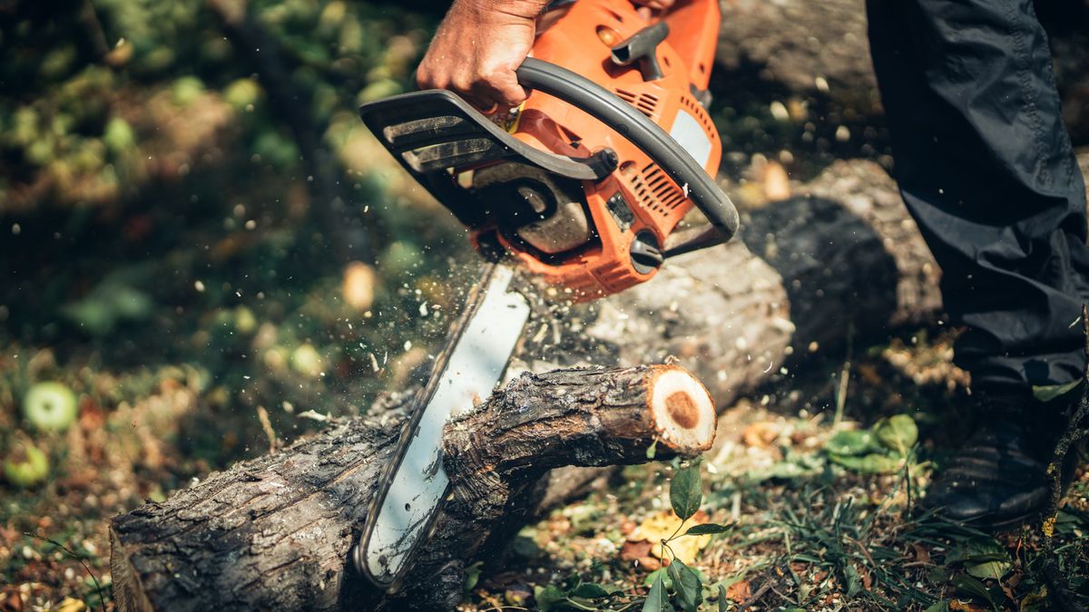 Black & Decker 40 Volt 12-Inch Chainsaw Review 