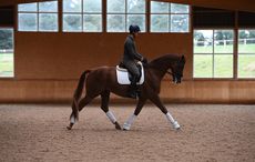 Spencer Wilton offers some simple dressage exercises to improve control of your horse